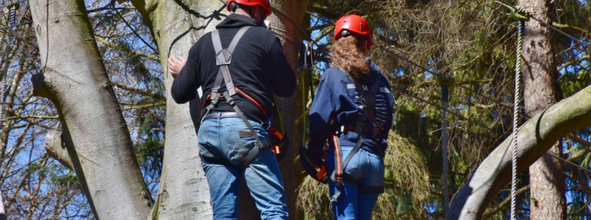 accrobranche bayeux aventure