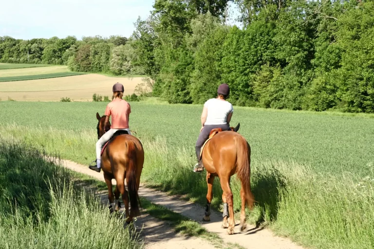Balade à cheval à l'ouest de Bayeux, entre campagne, forêt de Cerisy et plages normandes