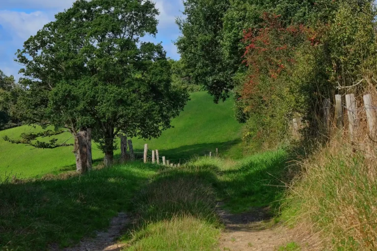 sentier balisé du Bocage à Bayeux, Calvados, longeant les haies bocagères avec vue sur les bords de l'Aure